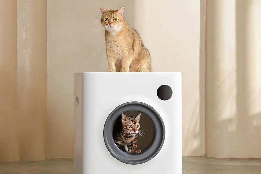 best automatic kitty litter box