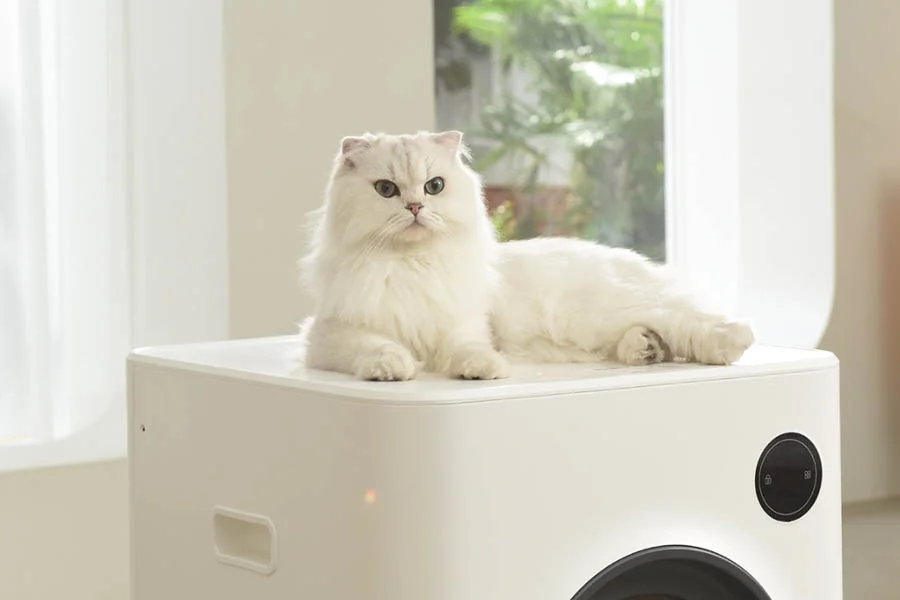 self cleaning litter box