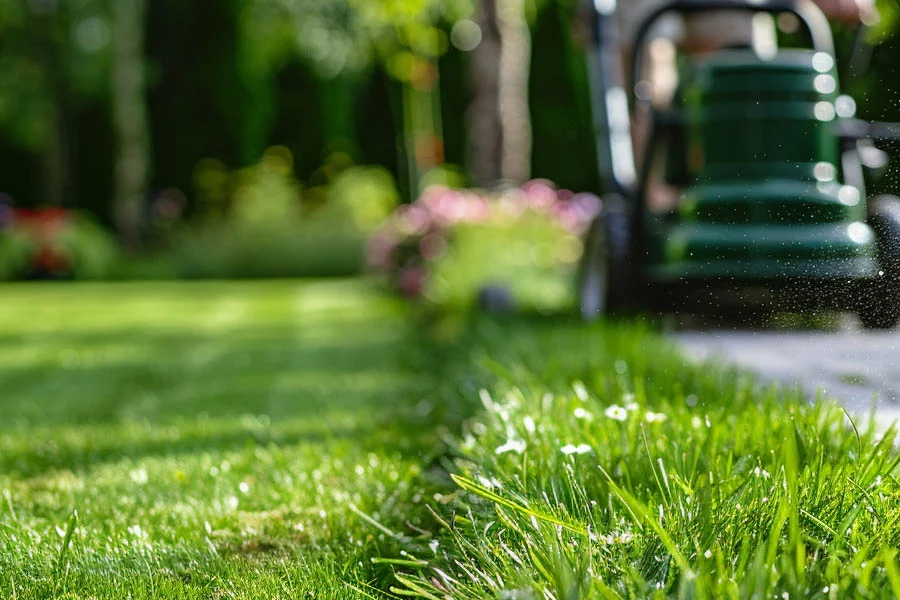 best cordless lawn mower with battery and charger