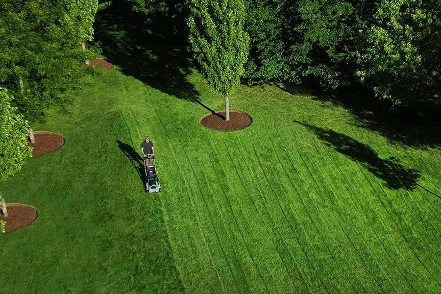 best electric lawn mower for large yard